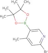 6-Bromo-4-methylpyridine-3-boronic acid pinacol ester