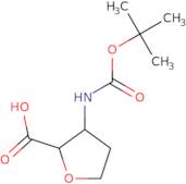 3-[(2-Methylpropan-2-yl)oxycarbonylamino]oxolane-2-carboxylic acid