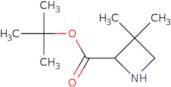 tert-Butyl 3,3-dimethylazetidine-2-carboxylate