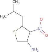 5-(2-Methylpropyl)-4-nitrothiolan-3-amine