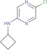 5-Chloro-N-cyclobutylpyrazin-2-amine