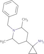 1-(1-Benzyl-2,6-dimethyl-4-piperidyl)cyclopropanamine