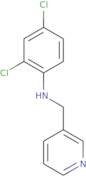 2,4-Dichloro-N-(pyridin-3-ylmethyl)aniline