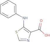 5-(Phenylamino)-1,3-thiazole-4-carboxylic acid