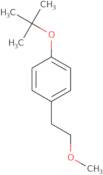 1-(tert-Butoxy)-4-(2-methoxyethyl)benzene