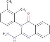 3-(2,3-Dimethylphenyl)-2-hydrazinyl-3,4-dihydroquinazolin-4-one