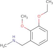 [(3-Ethoxy-2-methoxyphenyl)methyl](methyl)amine