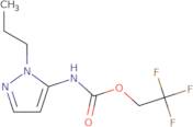 2,2,2-Trifluoroethyl N-(2-propyl-2,3-dihydro-1H-pyrazol-3-ylidene)carbamate