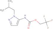 2,2,2-Trifluoroethyl N-[2-(2-methylpropyl)-2,3-dihydro-1H-pyrazol-3-ylidene]carbamate