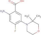 2-Amino-5-(3,3-dimethylmorpholin-4-yl)-4-fluorobenzoic acid