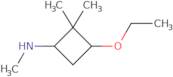 3-Ethoxy-N,2,2-trimethylcyclobutan-1-amine