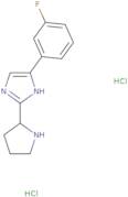4-(3-Fluorophenyl)-2-(pyrrolidin-2-yl)-1H-imidazole dihydrochloride