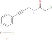2-Chloro-N-{3-[3-(trifluoromethyl)phenyl]prop-2-yn-1-yl}acetamide