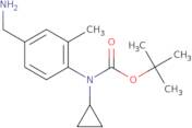 tert-Butyl N-[4-(aminomethyl)-2-methylphenyl]-N-cyclopropylcarbamate