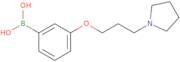 (3-(3-(Pyrrolidin-1-yl)propoxy)phenyl)boronic acid