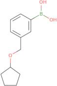 (3-[(Cyclopentyloxy)methyl]phenyl)boronic acid