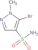 5-Bromo-1-methyl-1H-pyrazole-4-sulfonamide