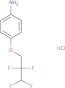 4-(2,2,3,3-Tetrafluoropropoxy)aniline hydrochloride