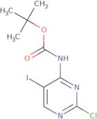 (2-Chloro-5-iodo-pyrimidin-4-yl)-carbamic acid tert-butyl ester