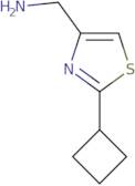 (2-Cyclobutylthiazol-4-yl)methanamine