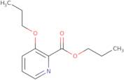 Propyl 3-Propoxypyridine-2-carboxylate