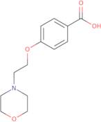 4-(2-Morpholin-4-yl-ethoxy)-benzoic acid