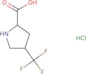 (2S,4S)-4-(Trifluoromethyl)pyrrolidine-2-carboxylic acid hydrochloride