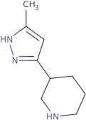 3-(5-Methyl-1H-pyrazol-3-yl)piperidine