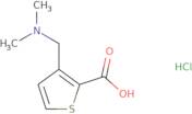 3-[(Dimethylamino)methyl]thiophene-2-carboxylic acid hydrochloride