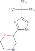 2-(3-tert-Butyl-1H-1,2,4-triazol-5-yl)morpholine