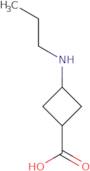 3-(Propylamino)cyclobutane-1-carboxylic acid