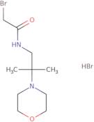 2-Bromo-N-[2-methyl-2-(morpholin-4-yl)propyl]acetamide hydrobromide