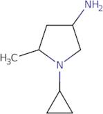 1-Cyclopropyl-5-methylpyrrolidin-3-amine