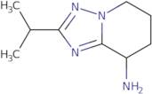 2-(Propan-2-yl)-5H,6H,7H,8H-[1,2,4]triazolo[1,5-a]pyridin-8-amine