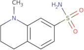 1-Methyl-1,2,3,4-tetrahydroquinoline-7-sulfonamide