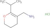 [6-(Propan-2-yl)-3,4-dihydro-2H-pyran-5-yl]methanamine hydrochloride