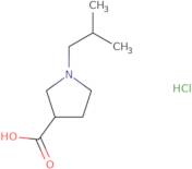 1-(2-Methylpropyl)pyrrolidine-3-carboxylic acid hydrochloride