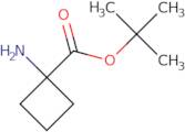 1-Amino-cyclobutanecarboxylic acid 1,1-dimethylethyl ester