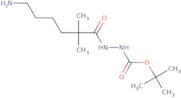 6-Amino-1-({[(tert-butoxy)carbonyl]amino}amino)-2,2-dimethylhexan-1-one