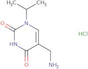 5-(Aminomethyl)-1-(propan-2-yl)-1,2,3,4-tetrahydropyrimidine-2,4-dione hydrochloride