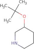 3-(tert-Butoxy)piperidine