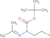 N-(2-Fluoroethyl)-N'-(propan-2-ylidene)(tert-butoxy)carbohydrazide