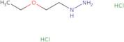 (2-Ethoxyethyl)hydrazine dihydrochloride