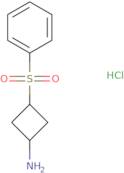 3-(Benzenesulfonyl)cyclobutan-1-amine hydrochloride