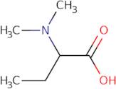 (2R)-2-(Dimethylamino)butanoic acid