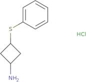 3-(Phenylsulfanyl)cyclobutan-1-amine hydrochloride