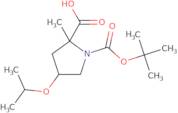 2-Methyl-1-[(2-methylpropan-2-yl)oxycarbonyl]-4-propan-2-yloxypyrrolidine-2-carboxylic acid
