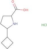 5-Cyclobutylpyrrolidine-2-carboxylic acid hydrochloride