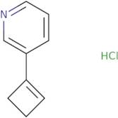 3-(Cyclobut-1-en-1-yl)pyridine hydrochloride