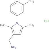 [2,5-Dimethyl-1-(3-methylphenyl)-1H-pyrrol-3-yl]methanamine hydrochloride